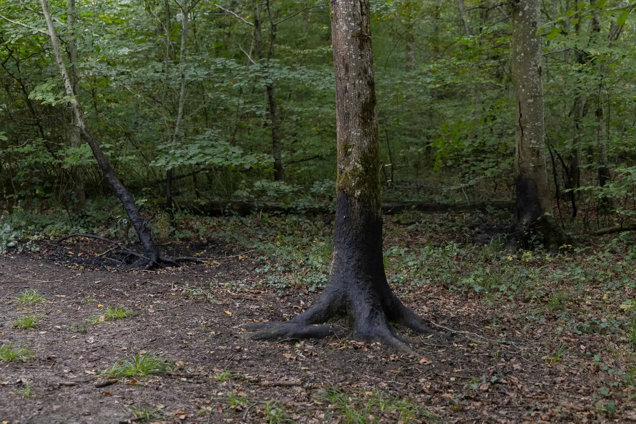©LukasKlein